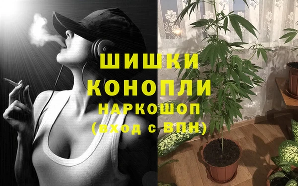 винт Алексеевка