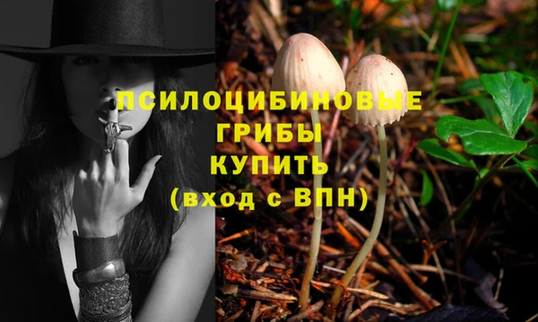 спайс Алексин