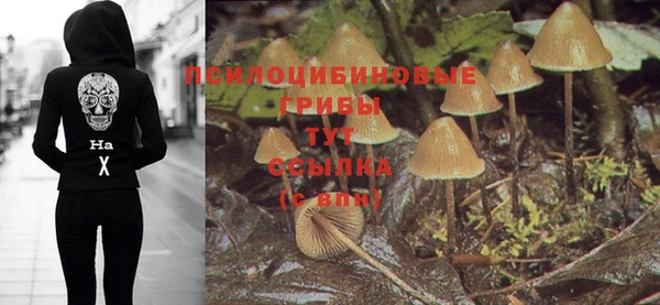 винт Алексеевка