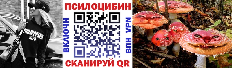 Галлюциногенные грибы Magic Shrooms  магазин продажи наркотиков  Данков 